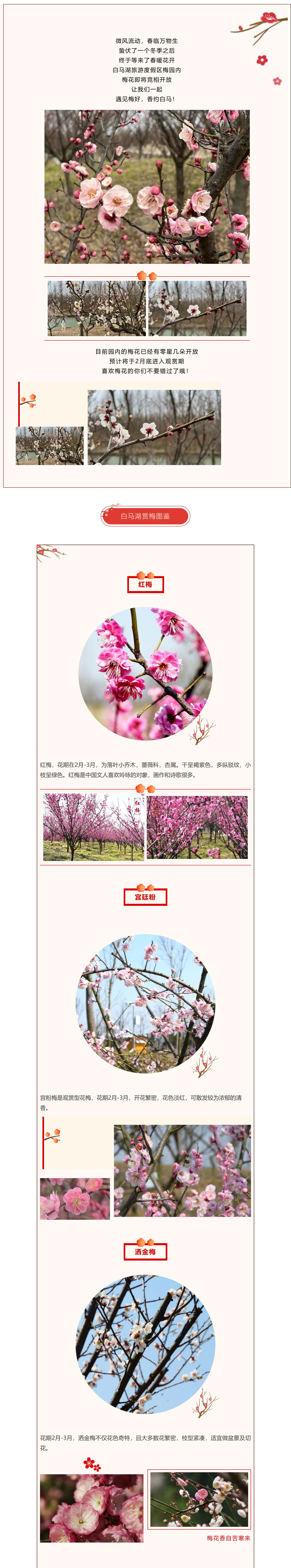 IM体育·(中国区)官方网站 -APP下载