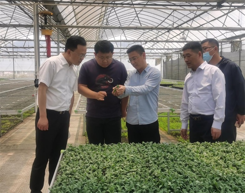 IM体育·(中国区)官方网站 -APP下载