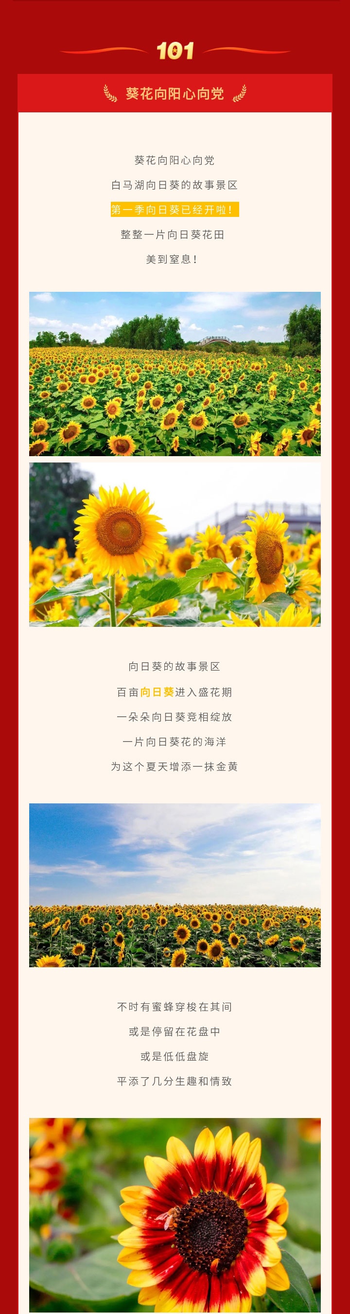 IM体育·(中国区)官方网站 -APP下载