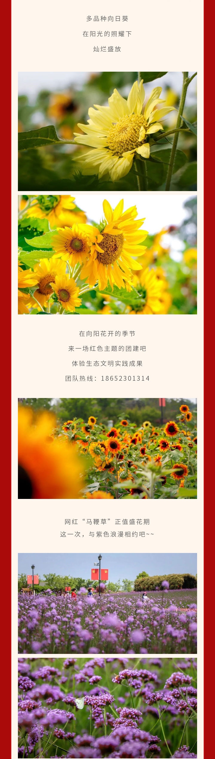 IM体育·(中国区)官方网站 -APP下载