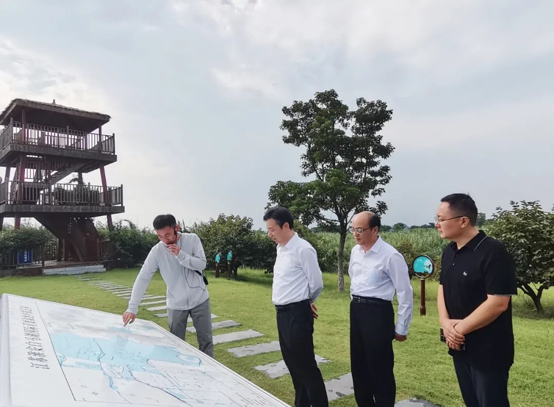 IM体育·(中国区)官方网站 -APP下载