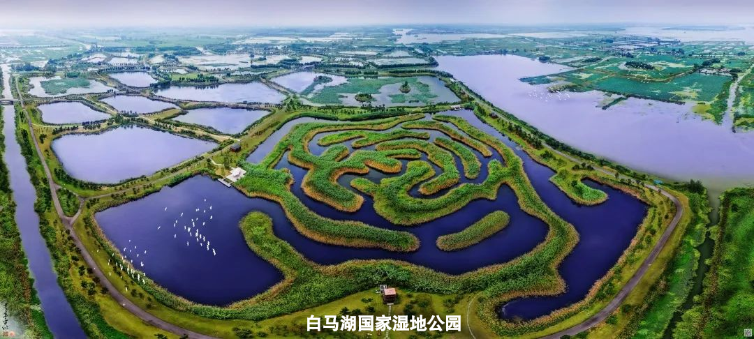 IM体育·(中国区)官方网站 -APP下载