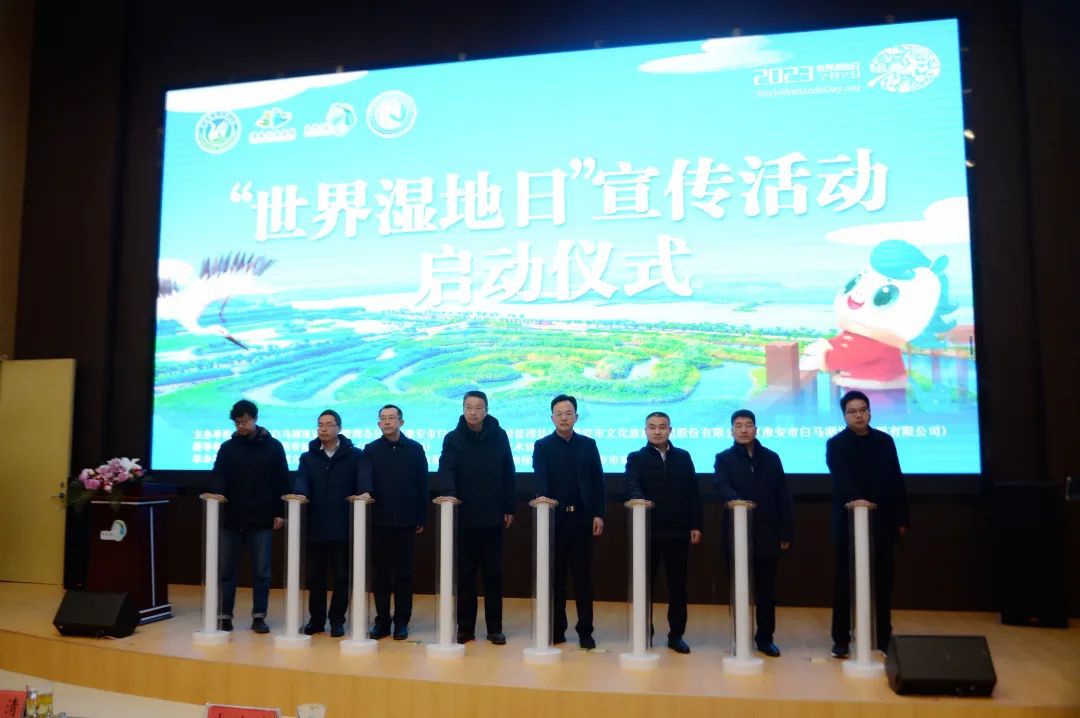 IM体育·(中国区)官方网站 -APP下载