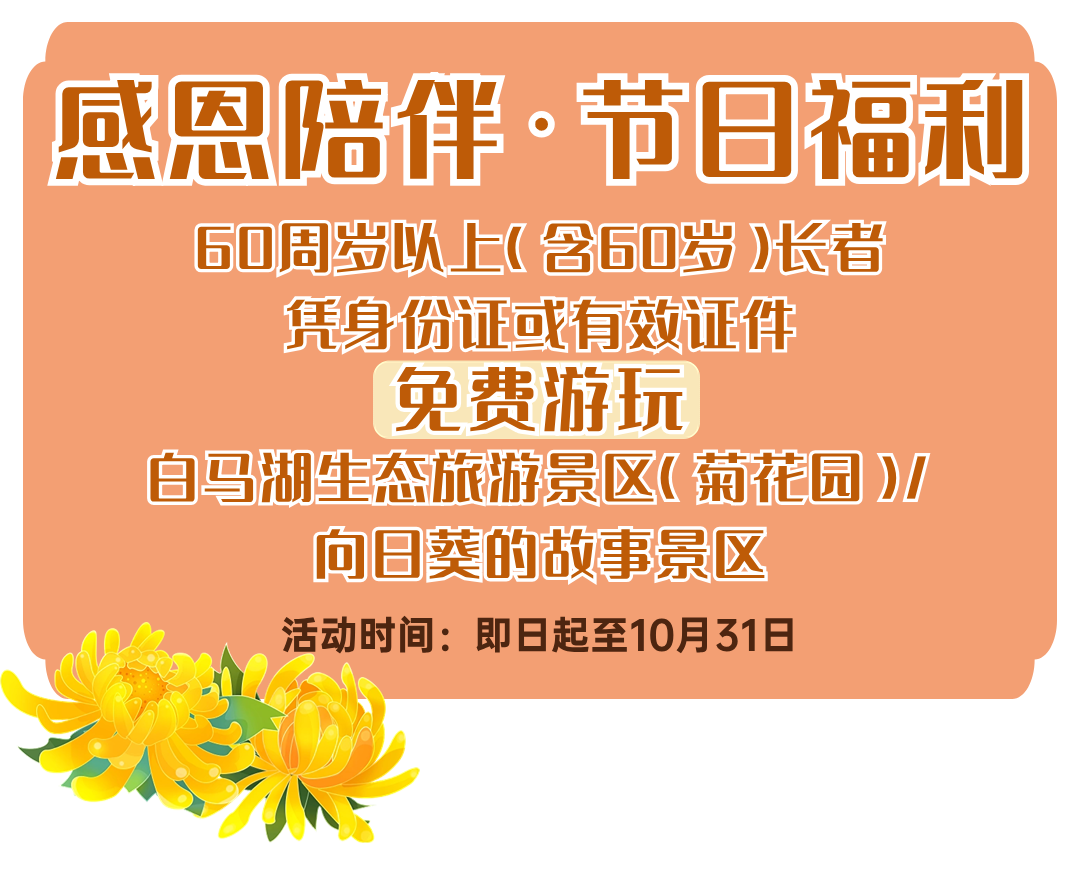 IM体育·(中国区)官方网站 -APP下载