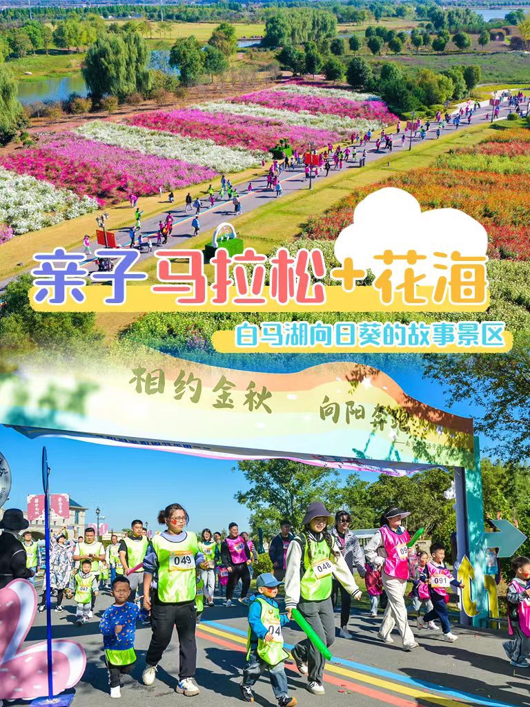IM体育·(中国区)官方网站 -APP下载