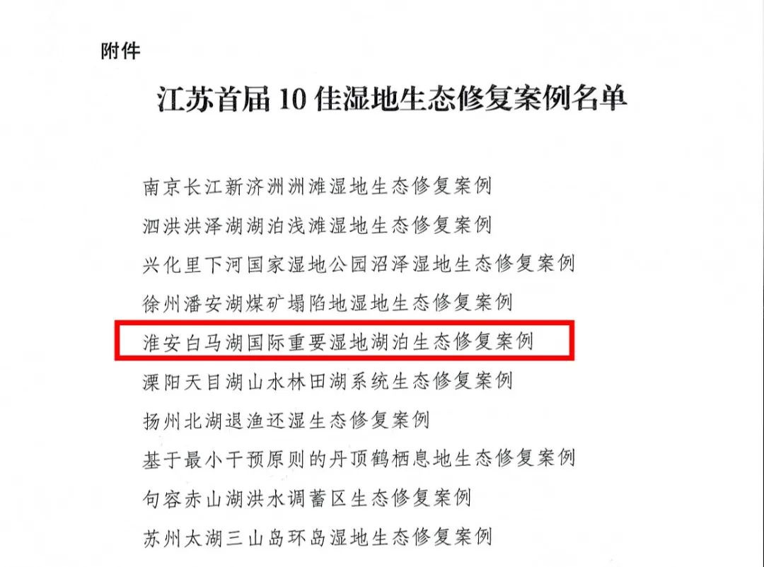IM体育·(中国区)官方网站 -APP下载