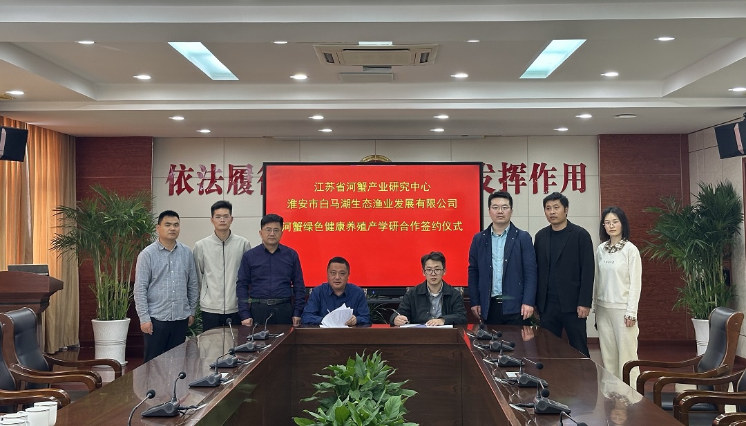 IM体育·(中国区)官方网站 -APP下载