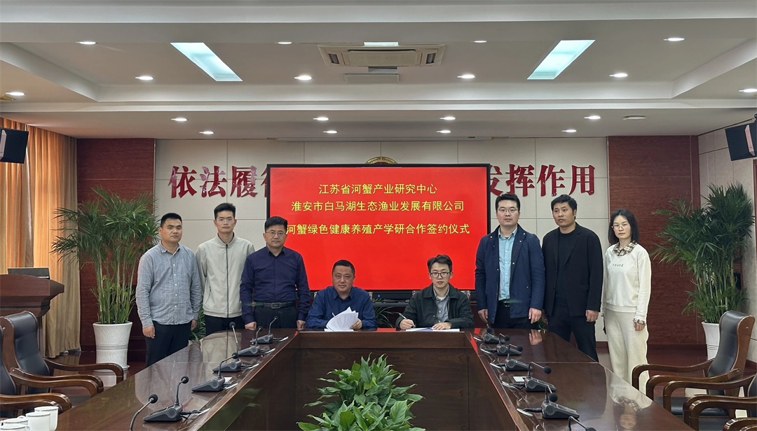 IM体育·(中国区)官方网站 -APP下载