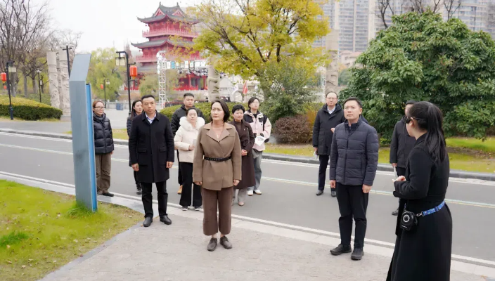 省人大代表武汉一组发展会前视察活动