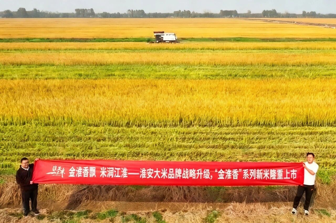 IM体育·(中国区)官方网站 -APP下载