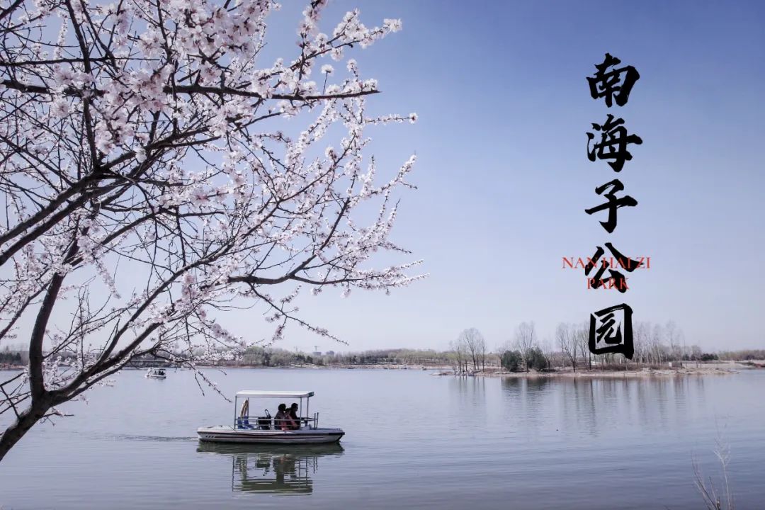 南海子游园 | 五一假期，，，，，，，请收好这份攻略